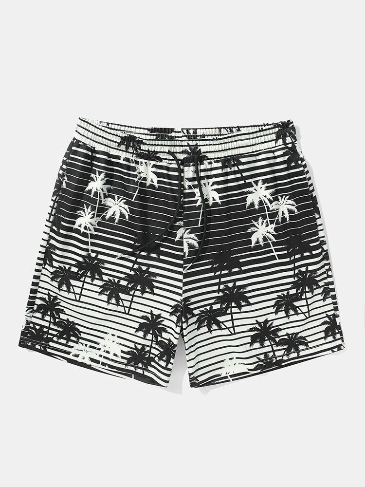 Mænds Coconut Tree Striped Print Holiday Løs Shorts Med Snoretræk