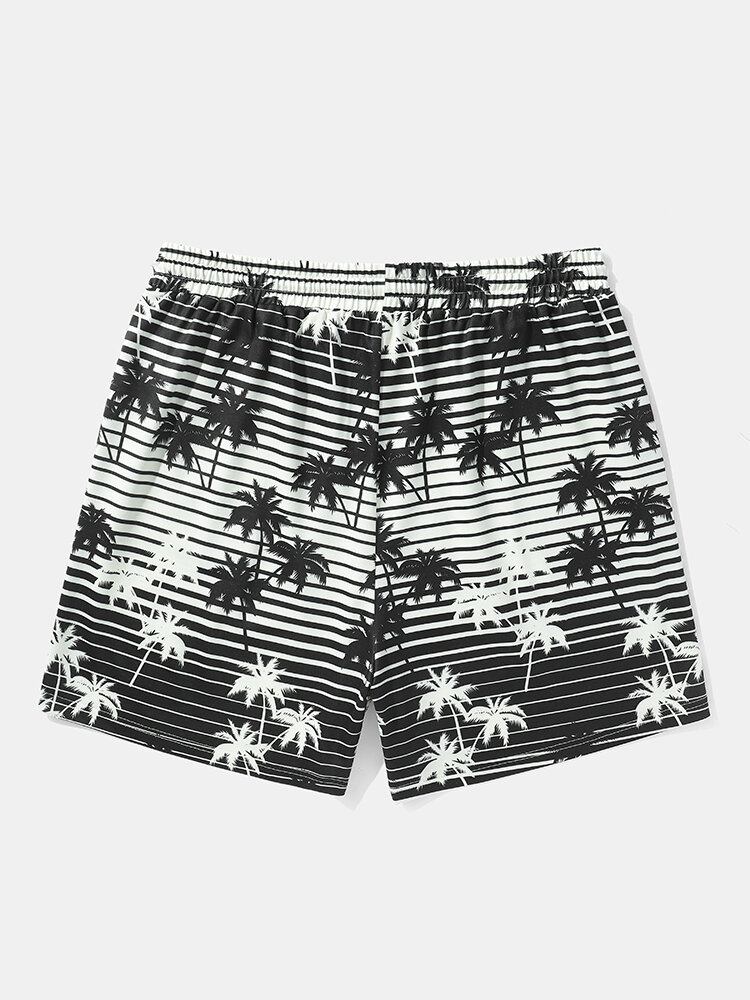 Mænds Coconut Tree Striped Print Holiday Løs Shorts Med Snoretræk