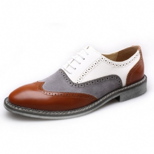 Mænd Brogue Colorblock Oxfords Snørebånd Business Casual Formelle Sko