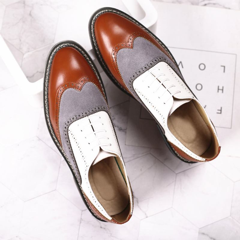 Mænd Brogue Colorblock Oxfords Snørebånd Business Casual Formelle Sko